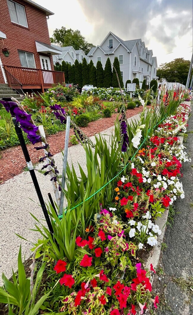 Building Photo - 31 Glenwood Ave