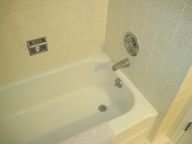 Bath Tub - 430 Riviera Dr