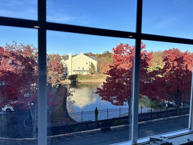 View from Master Bedroom - 13 Newburgh Dr