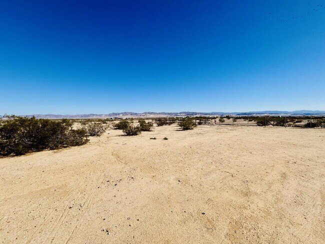 Building Photo - 4 bedrooms, 2 kitchens, 2.5 bathrooms, lau...