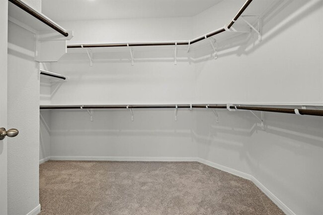 Building Photo - 917 Blue Oak Blvd