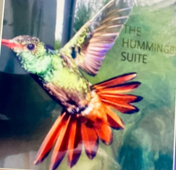 Building Photo - 9859 Gandy Ave