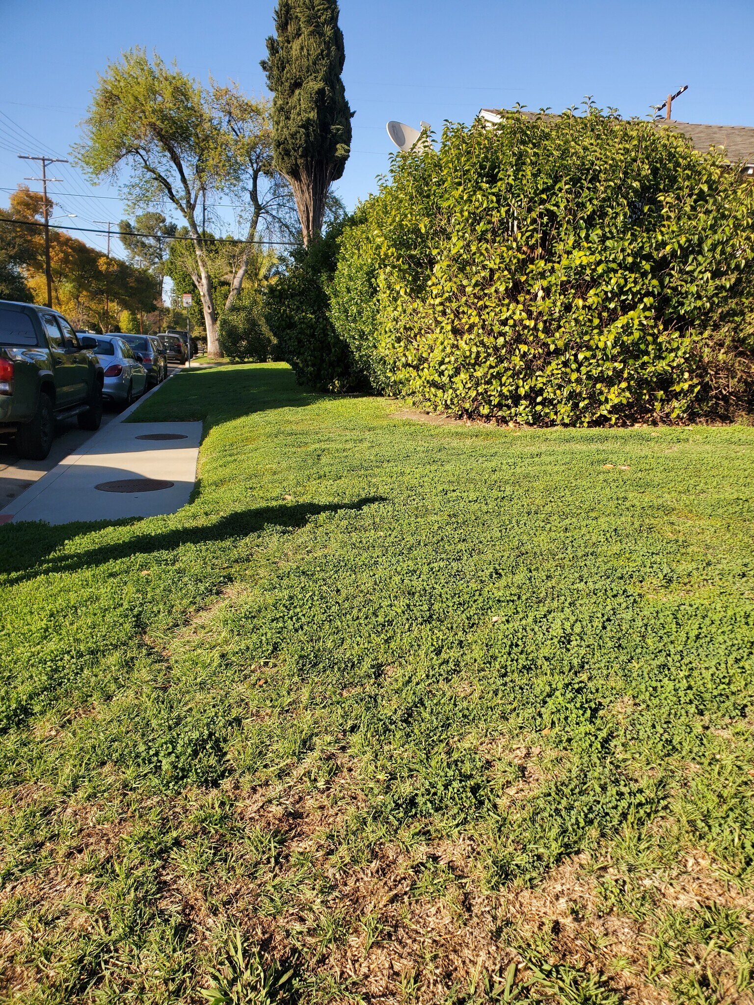 Side yard on Allott - 13527 Burbank Blvd