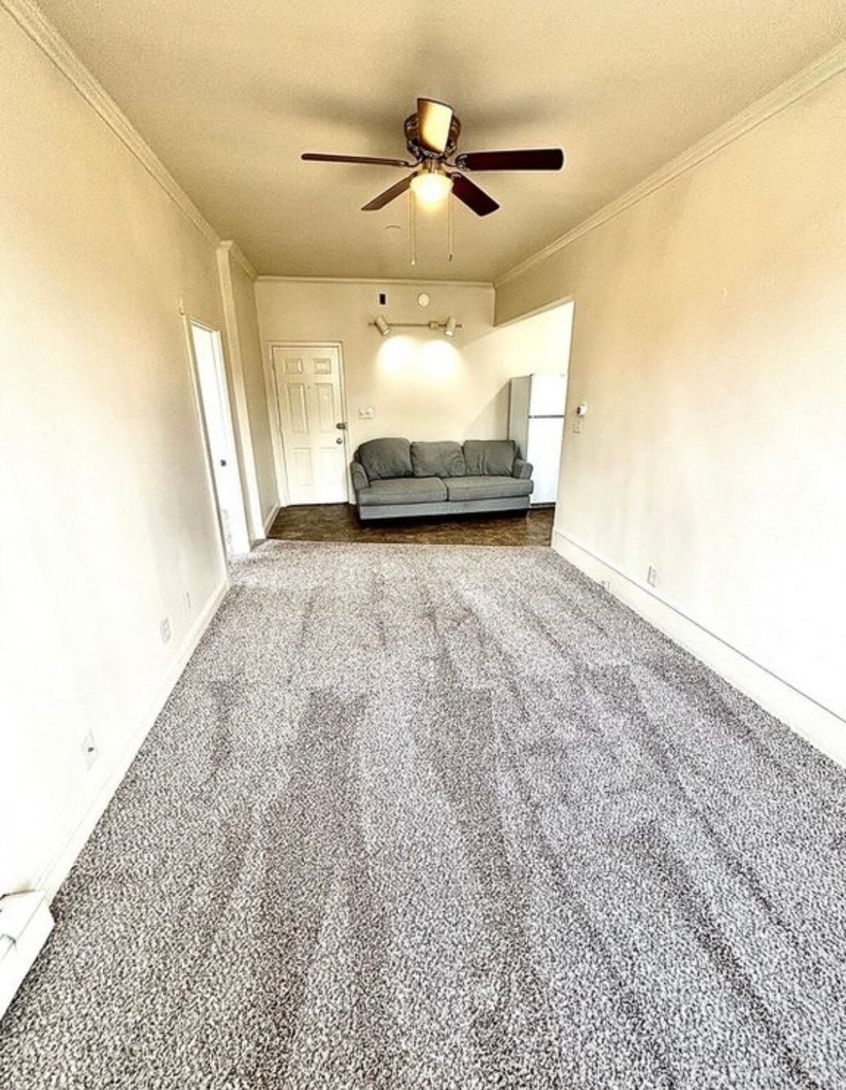 Building Photo - 313 Walnut St