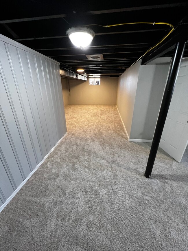 Basement - 8313 Smithton Rd