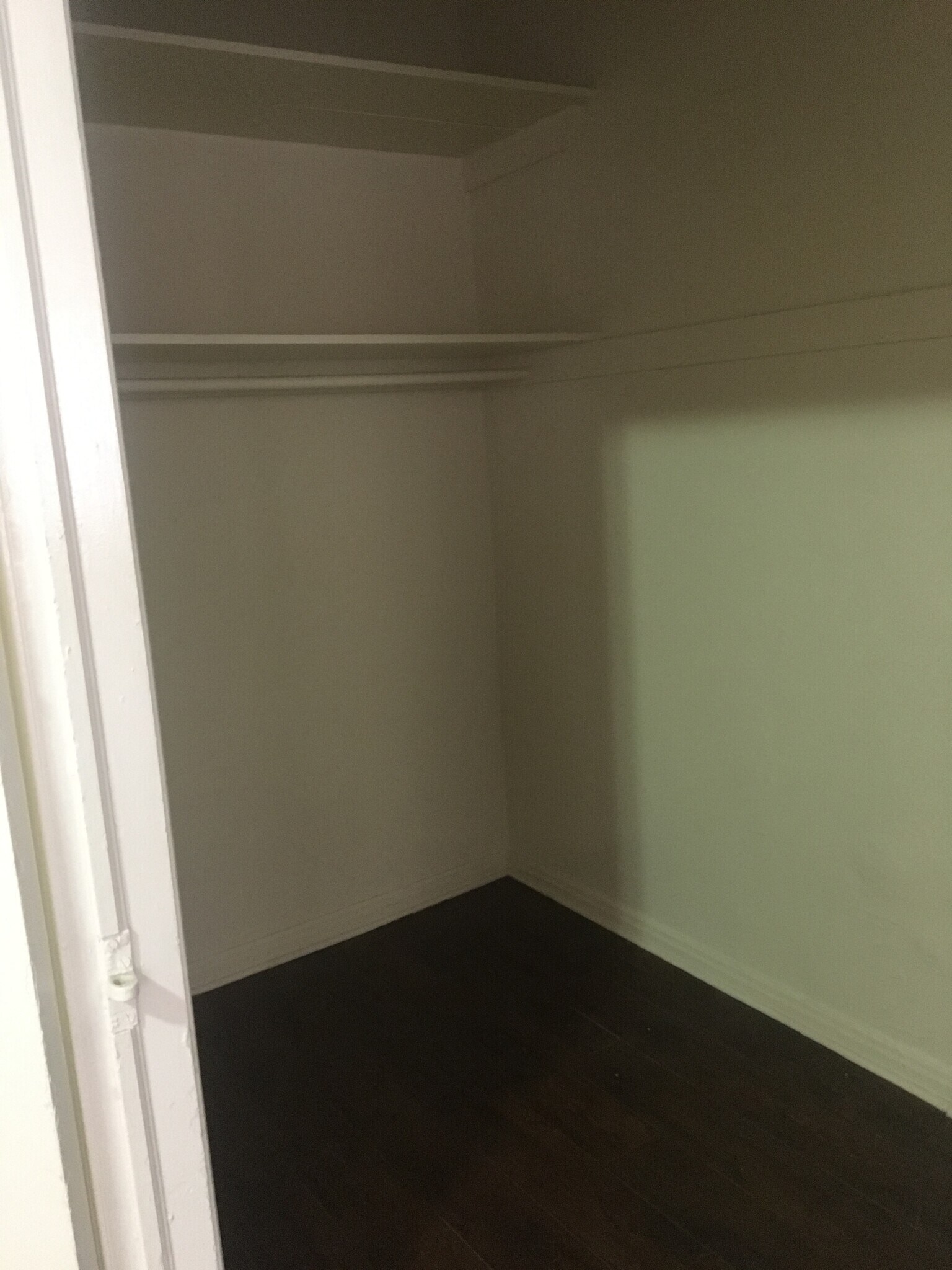 walk-in closet - 545 S Hobart Blvd