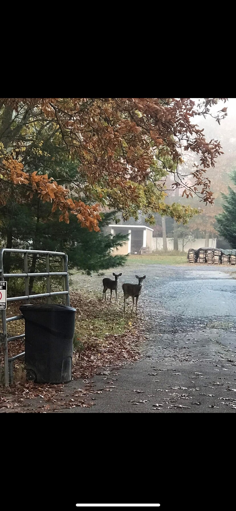 Building Photo - 16 Landsberger St