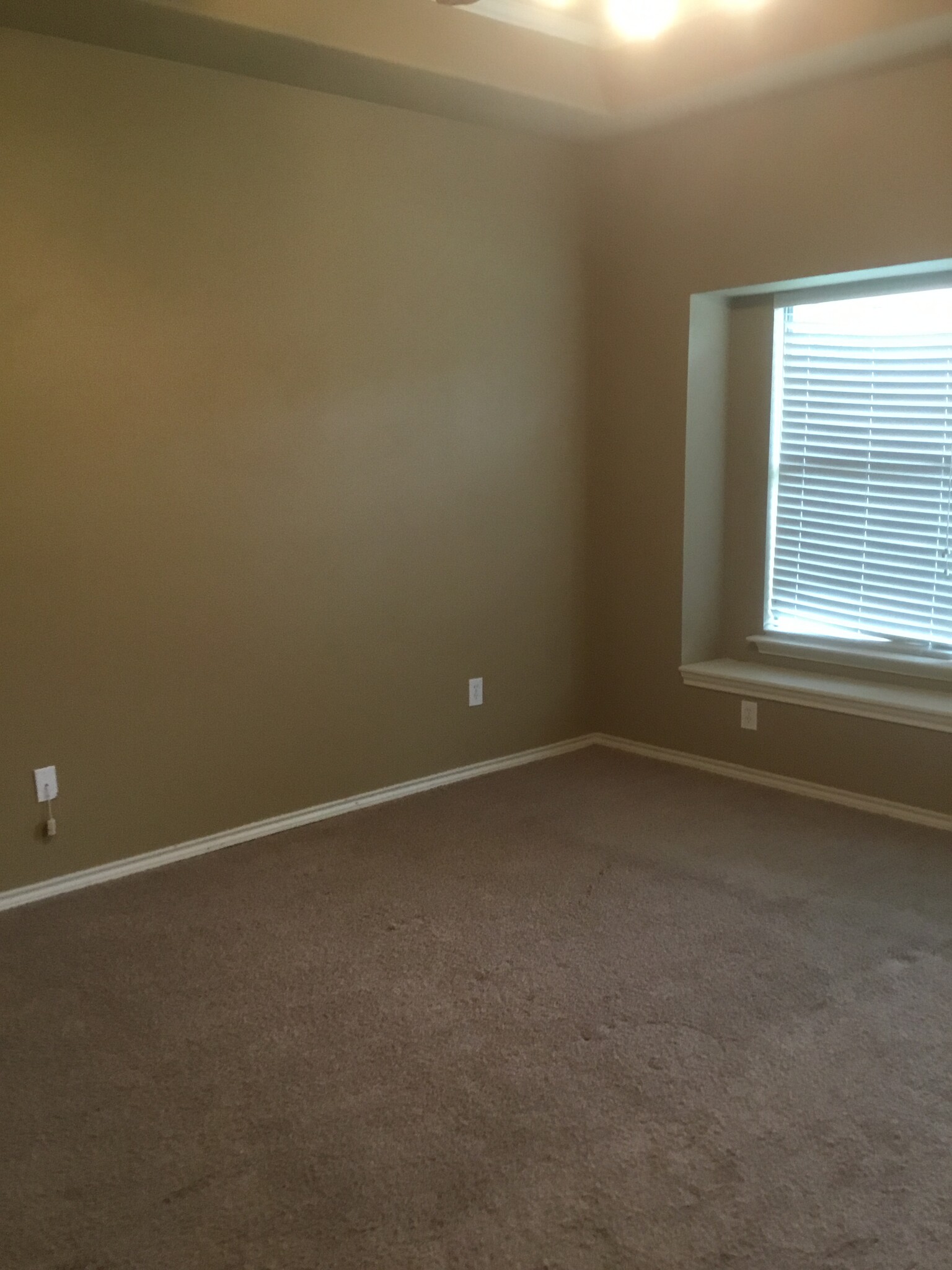 Building Photo - 502 Spring Dr