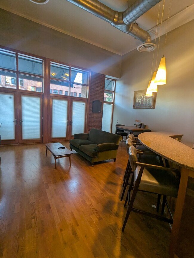 Building Photo - FANTASTIC LUXURY CONDO IN BALLPARK NEXT TO COORS FIELD!  FULLY-FURNISHED!