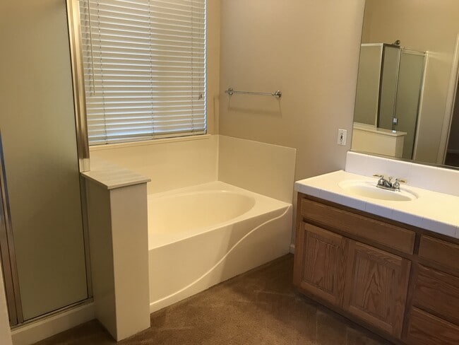 Building Photo - Beautiful 4 Bedroom, 2.5 Bath Master BR downstairs Tracy Home