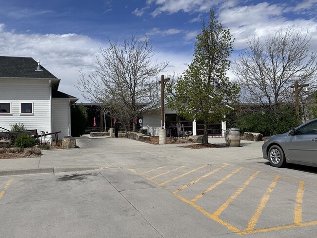 Building Photo - 2107 Sandbur Dr