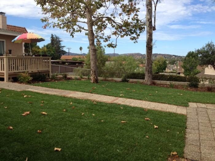 yard - 367 Idaho Ave