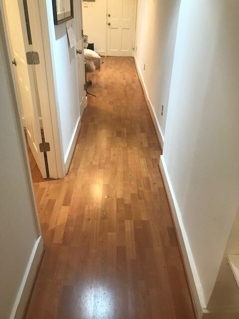 Hallway back to front - 206 E St NE
