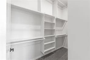 Building Photo - 8233 Mountain Oak Dr