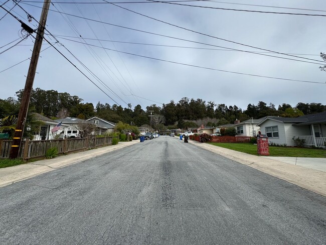 Building Photo - 2 BR in Santa Cruz' Banana Belt