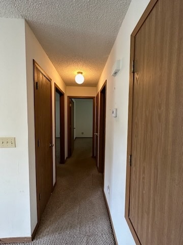Building Photo - 311 McKennon Ct