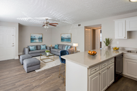 Building Photo - Westshore Flats