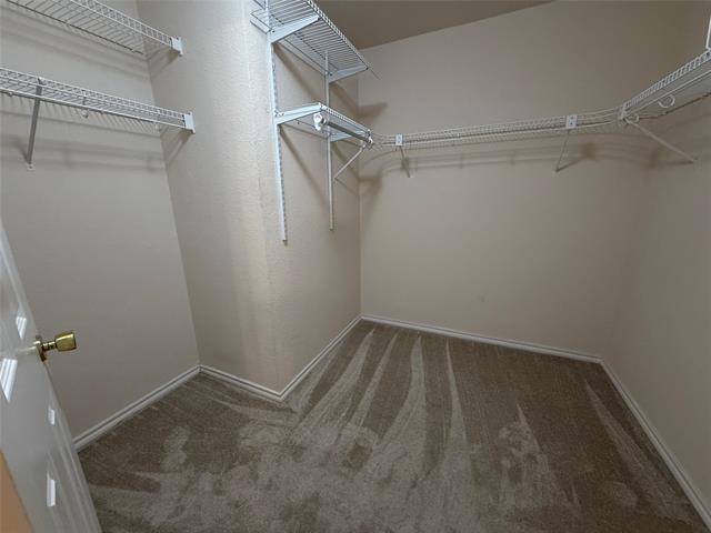 Building Photo - 2705 Frontier Ln