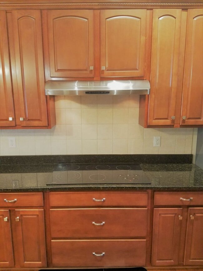 Building Photo - Beautiful transitional 4 bedroom brick rancher on quiet street just off of Hull Street/Genito Roa...