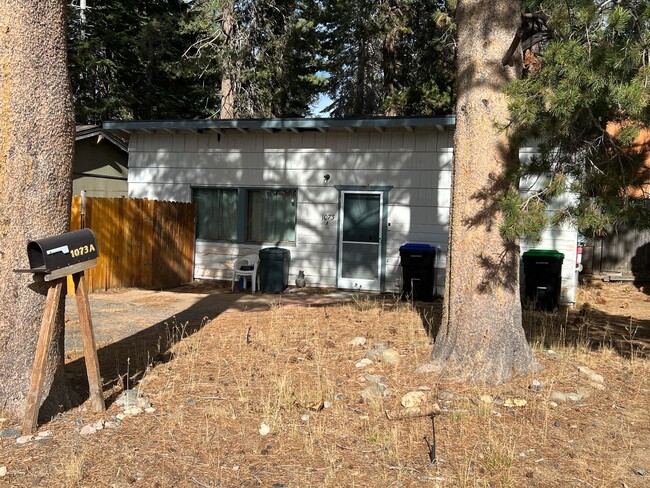 Building Photo - Cozy Cabin in the Woods