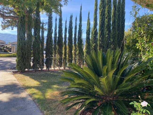 Building Photo - 1609 Blossom Hill Rd