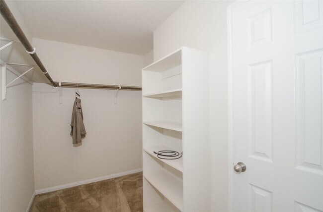 Building Photo - 3403 Tall Sycamore Trail