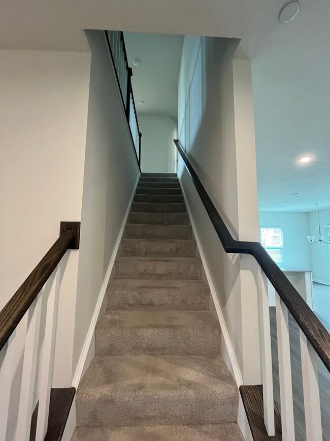 Building Photo - 312 Frances Ln