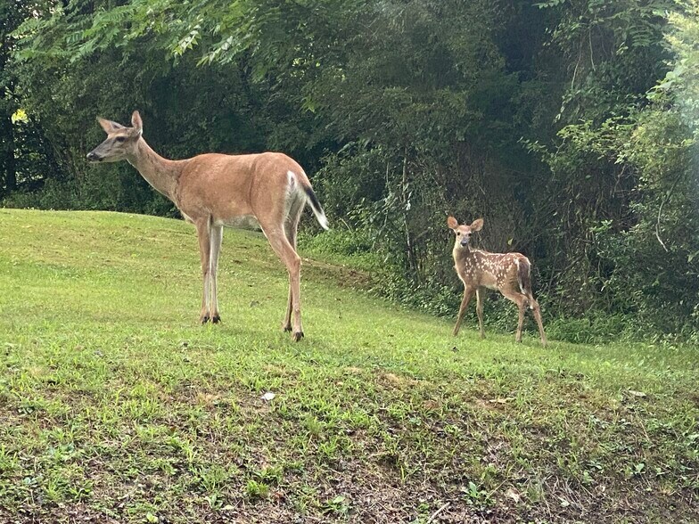 Building Photo - 817 Elysian Ave
