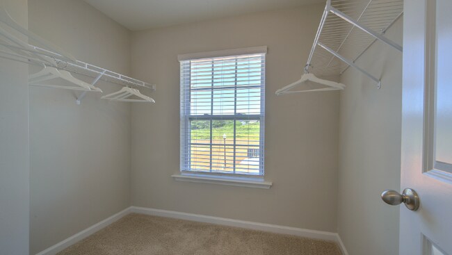 Building Photo - 409 Sea Grit Ct