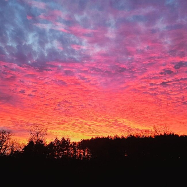 Building Photo - 4841 Julian Rd SW