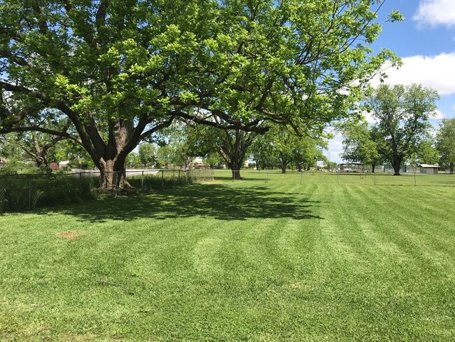 Building Photo - Close to Barksdale Air Force Base... Large yard that backs up to Park!!!
