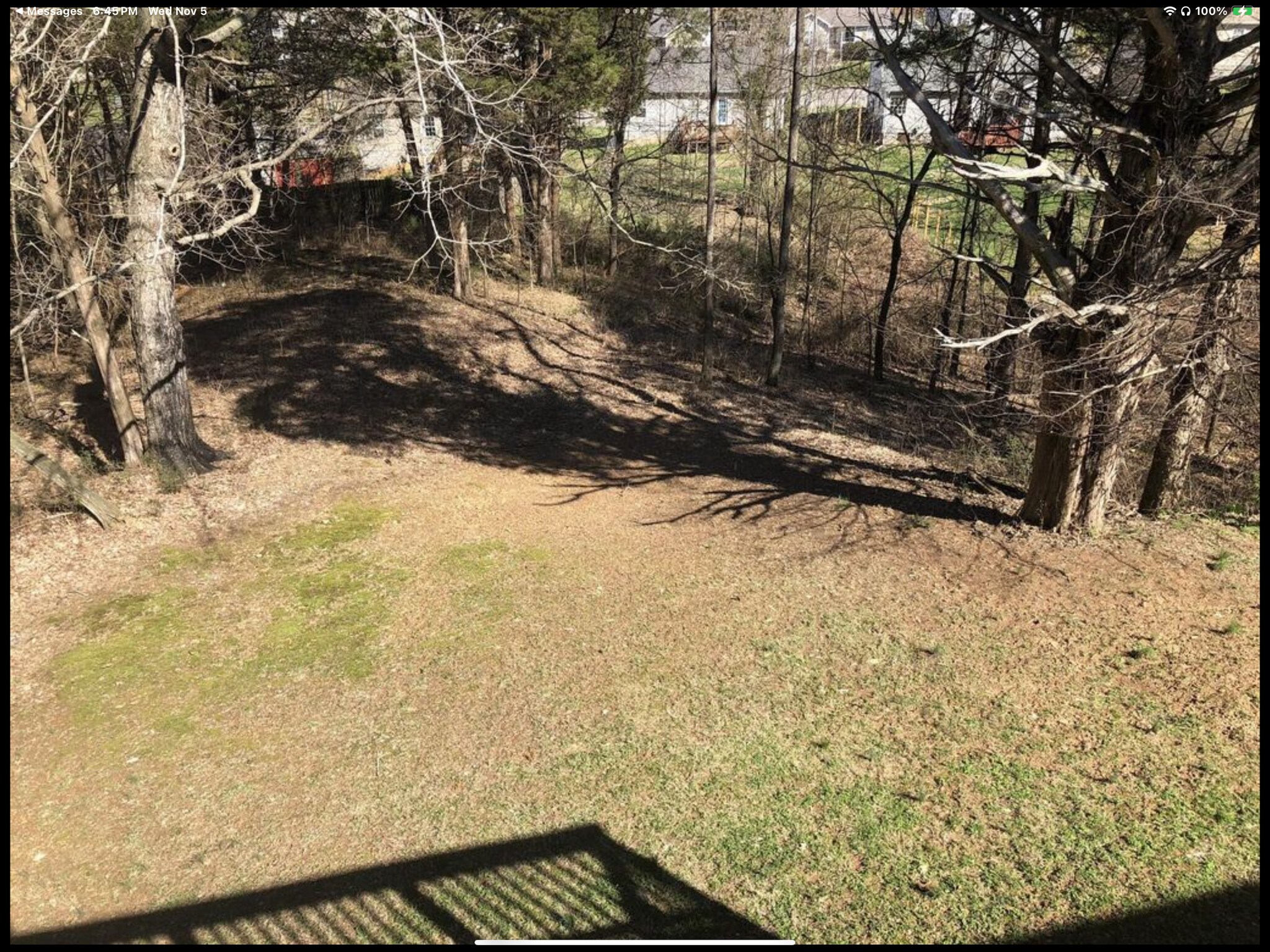 Building Photo - 1053 Red Apple Ct