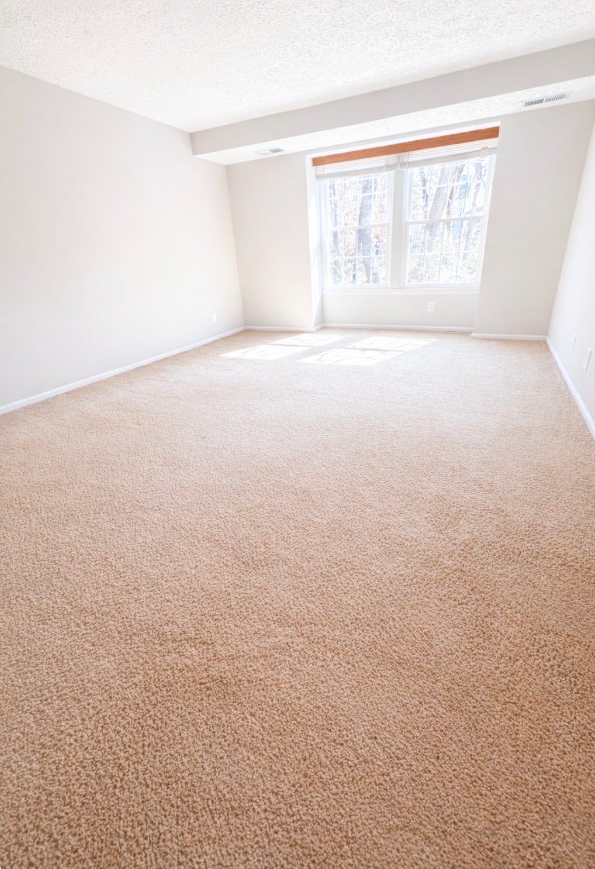 Actual room with out virtual staging - 32 Sequoia Ct