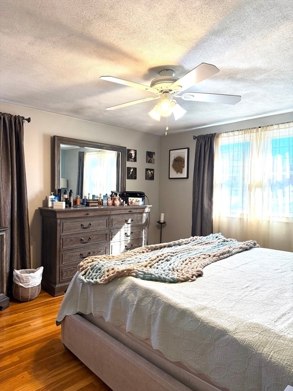 Building Photo - 5 Fred St