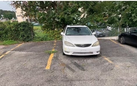 Building Photo - 770 Cummins Hwy