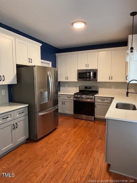 Building Photo - 2407 Trout Stream Drive