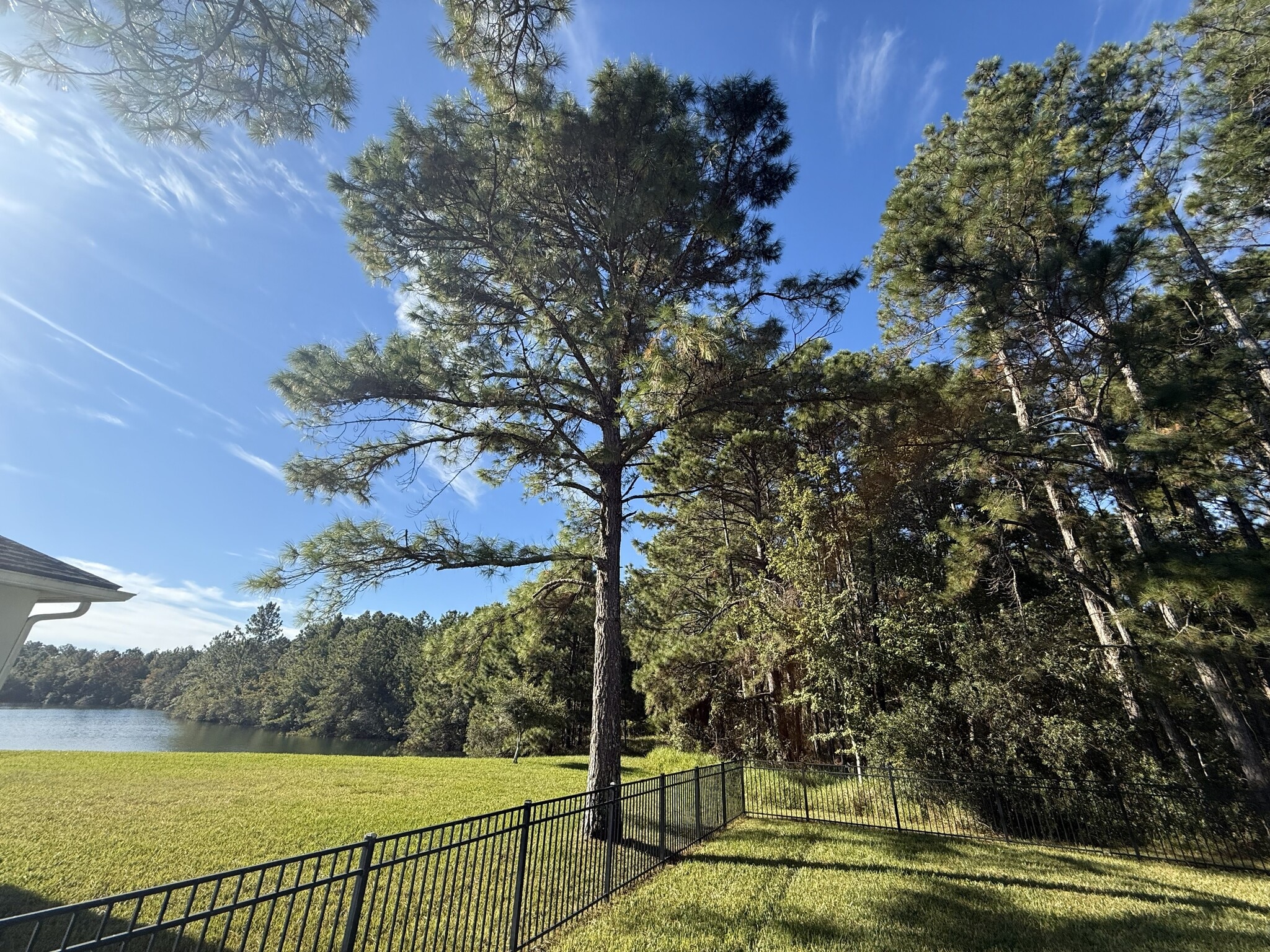 Building Photo - 944 Waverly Bluff Ct