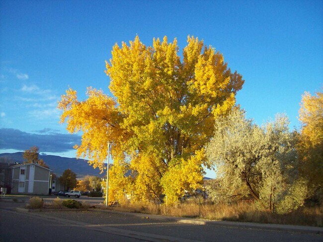 Building Photo - Wind River Apartment