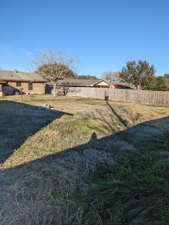 bakc yard - 107 W Mesquite St