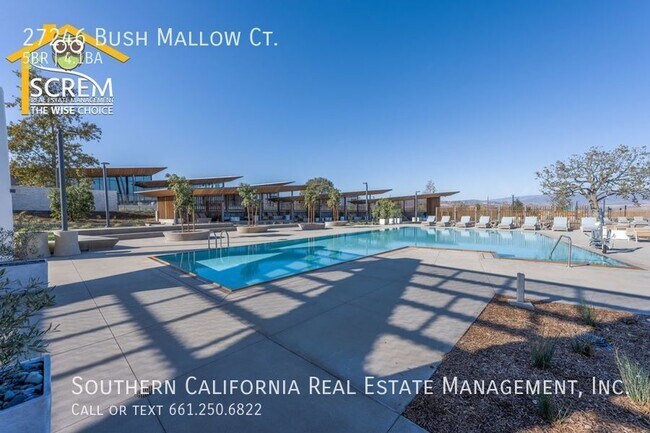 Building Photo - 27246 W Bush Mallow Ct