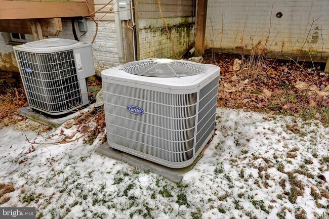 Building Photo - 3902 Cotton Tree Ln