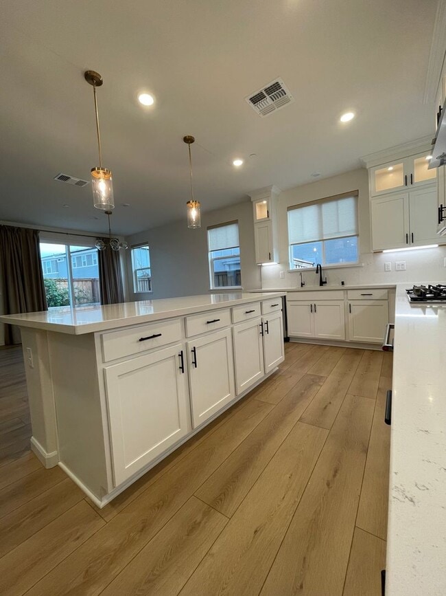 Building Photo - Beautiful new home with open floor plan av...