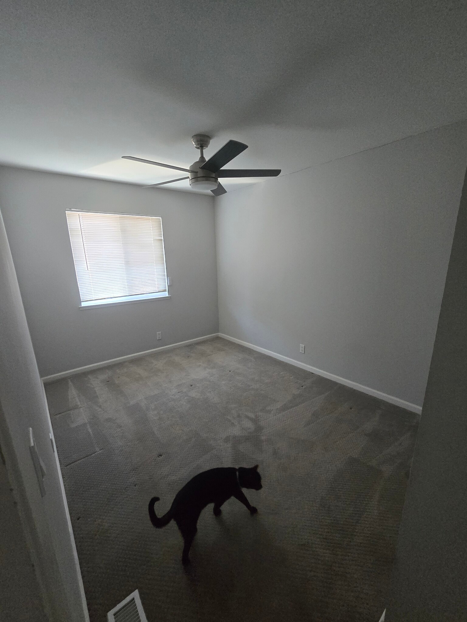 The bedroom for rent - 613 Millich Dr