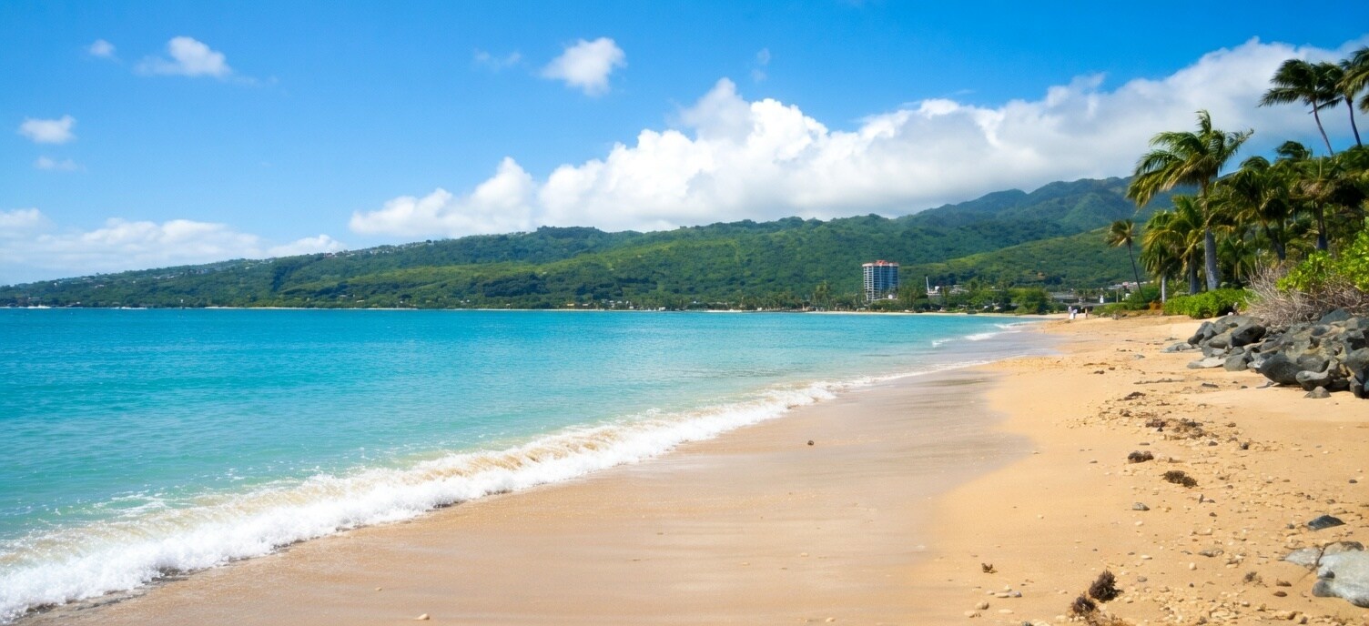 Building Photo - 238 Portlock Rd