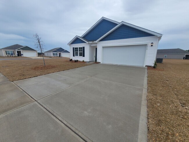 Building Photo - Welcome to our brand new 4-bedroom, 2-bathroom home located in the charming community of Castle H...