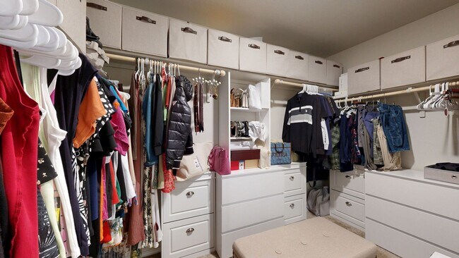 Building Photo - Stunning 4 bedroom home in pristine condition!!!