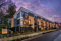 Building Photo - Park Central Townhomes - 4 Stories, 3 bedrooms, 31/2 bathrooms, 2 car garage and a rooftop deck w...