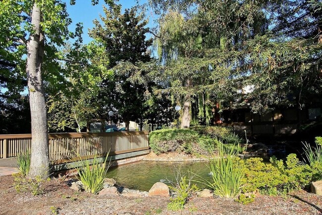 Building Photo - Beautiful and very Spacious 1BR 1BA Condo in Mountain View