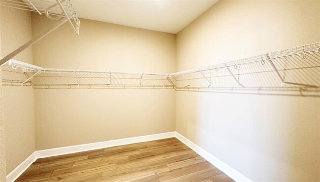 Building Photo - 3626 Savanna Palms Ct