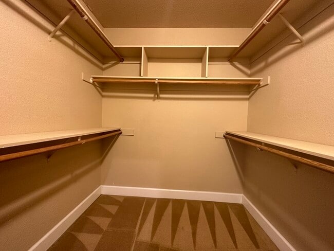 Building Photo - Beautiful 4 Bedroom Single Story For Rent in Gold River!